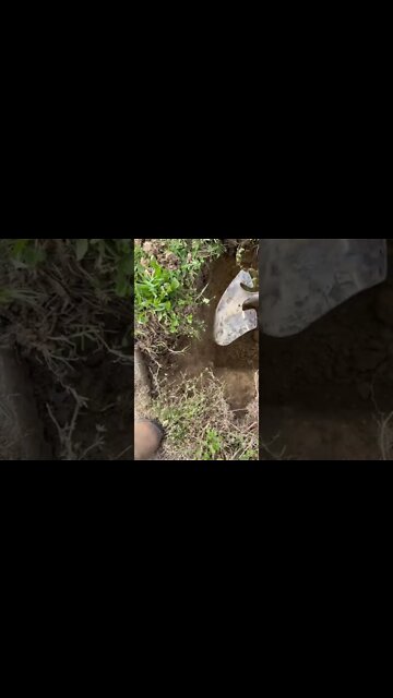 #shorts #2022 funny,prank,funjokes,dad jokes,funny memes,funny video,fun,laughing,funny animal,knock