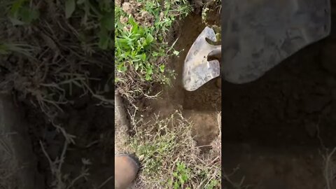 #shorts #2022 funny,prank,funjokes,dad jokes,funny memes,funny video,fun,laughing,funny animal,knock