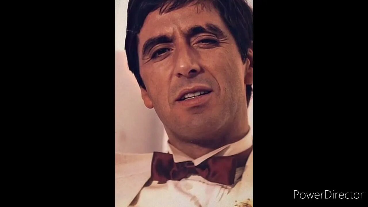 TONY MONTANA SAYS "THANK YOU" TO @DANI ROBERTSON A.K.A. DANI MONTANA