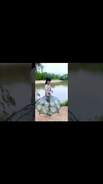 The Best Way to Catch Fish: Fish Catching Umbrella Cages #shorts #fyp