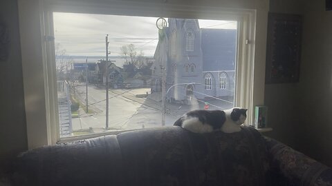 Farlie’s View