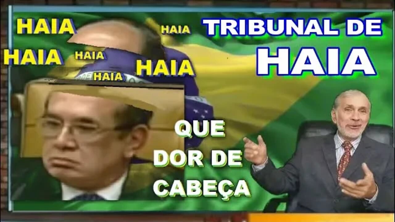 TRIBUNAL DE HAIA INOCENTA BOLSONARO, DEU DOR DE CABEÇA NO SUPREMO.