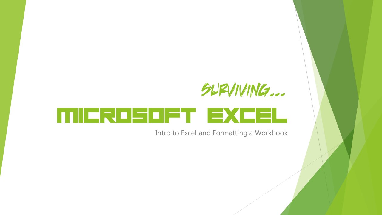 Surviving Excel - Format Worksheet Part 1