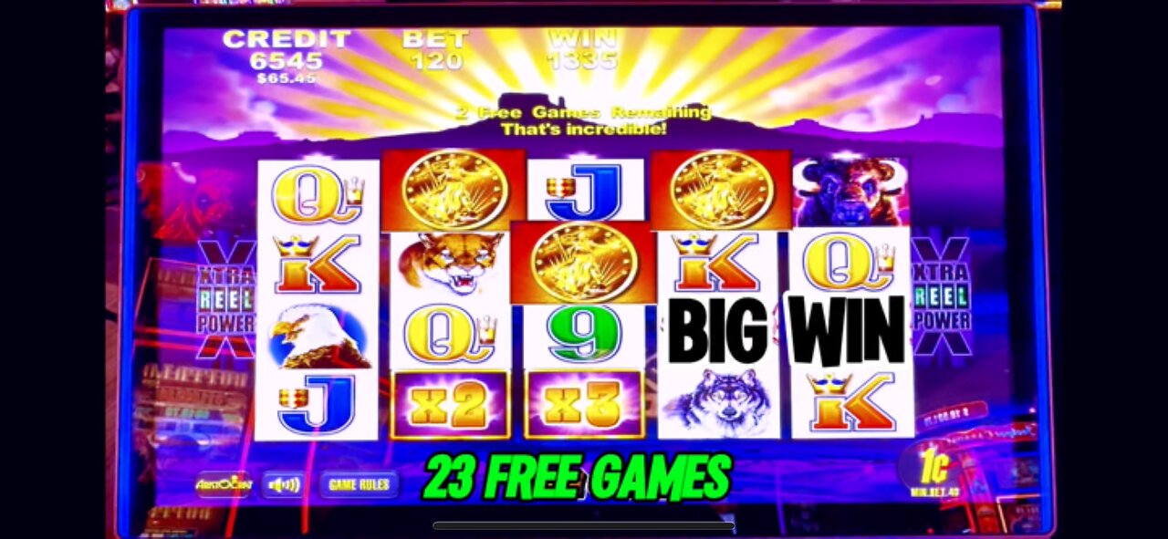 BACK to BACK BONUS on BUFFALO Slot Machine 🦜 BIG WIN 💰