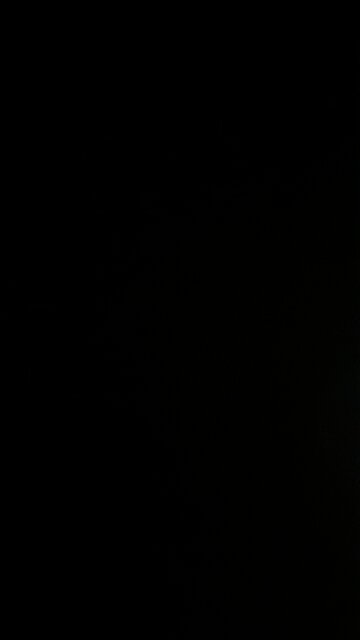 Dems stole senate midterms?