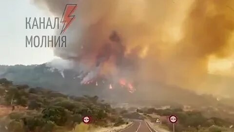 ⚡️237 people have died due to extreme heat in five days In Spain, where wildfires are raging, – EFE.