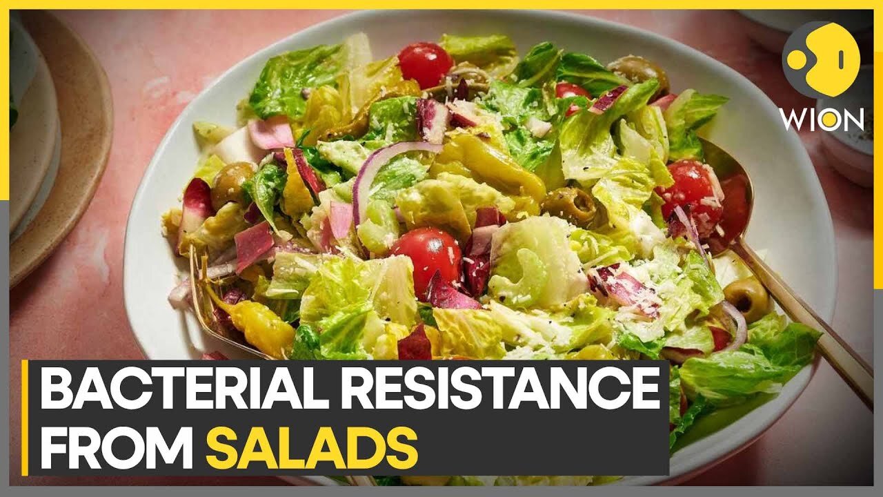 A new study says vegetable salads can create antibiotic resistance |