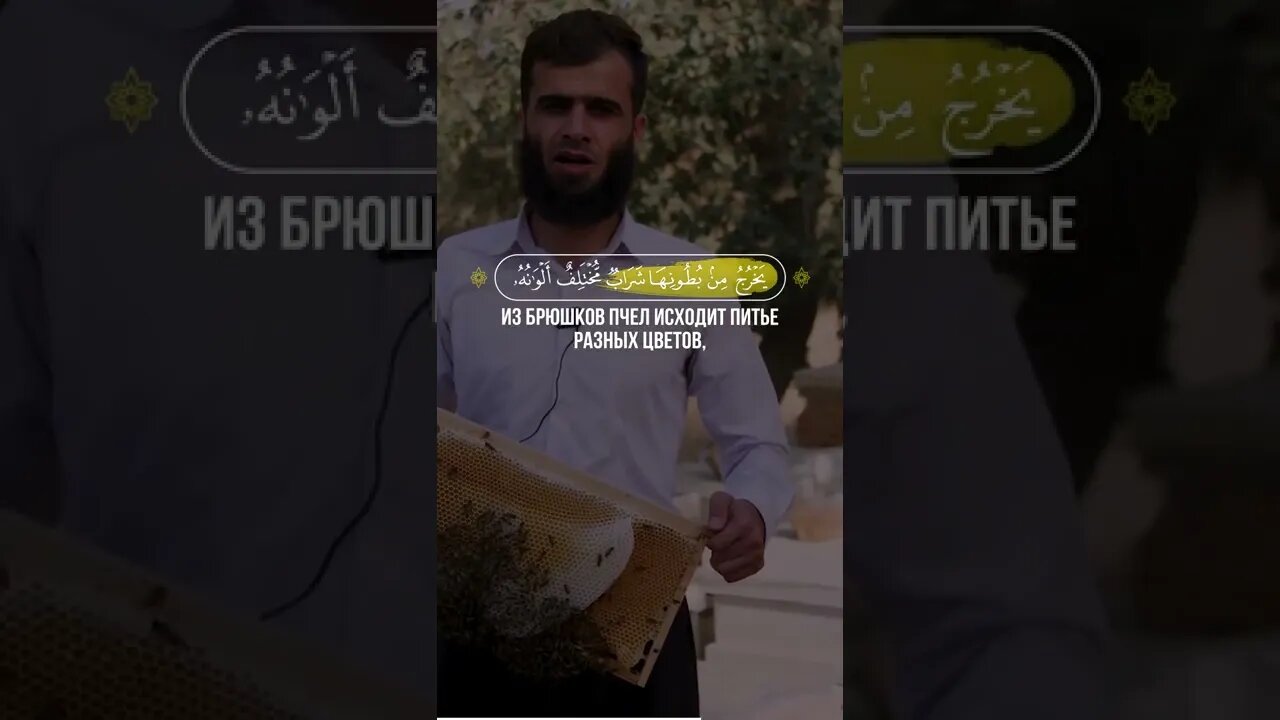 Красивое чтение Корана