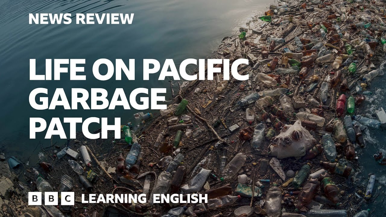 Life on Pacific garbage patch: BBC News Review