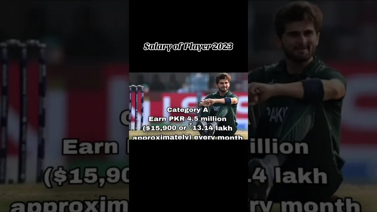 Pakistan Cricketer Salary 2023 #babarazam #shadabkhan #harisrauf #shaheenafridi #fakharzaman