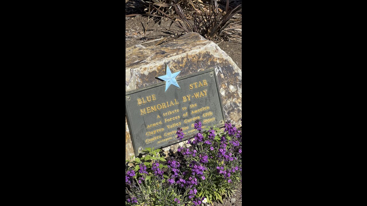 Blue Star Memorial