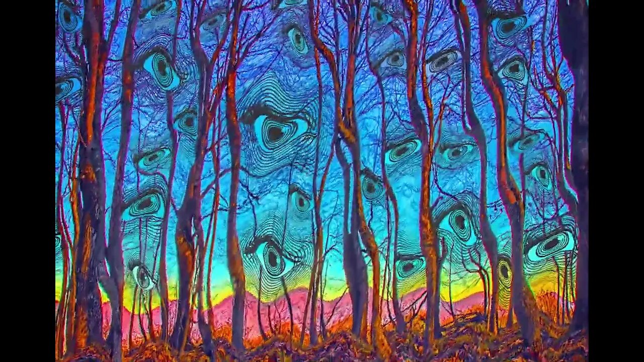 Woods Has Eyes by LARRY CARLSON