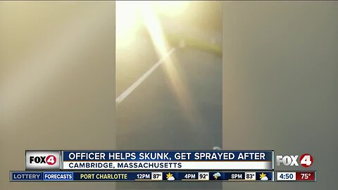 Officer helps skunk, gets sprayed