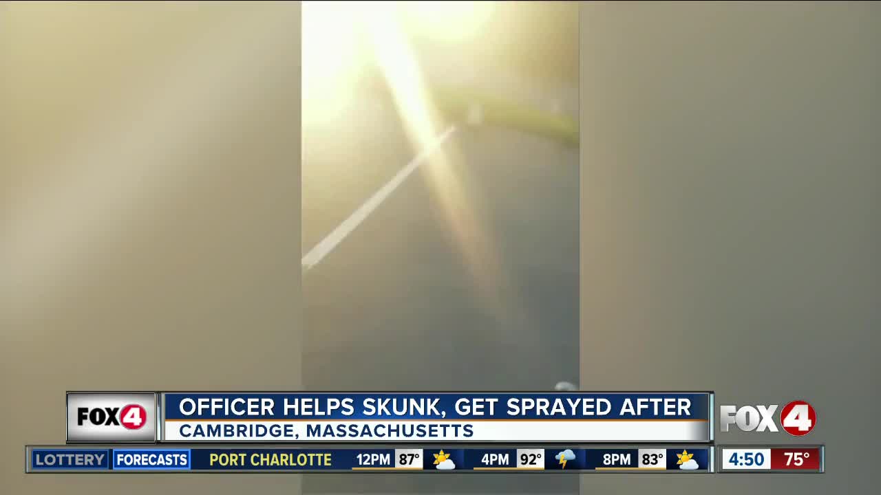 Officer helps skunk, gets sprayed