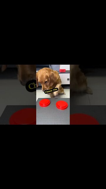 The snack in my mouth suddenly don,t smell good ... #shorts