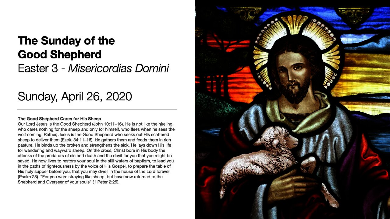 The Sunday of the Good Shepherd - April 26, 2020