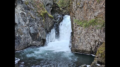 Bird Creek Hike