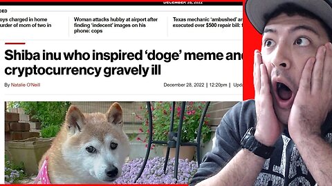 WORLD'S MOST FAMOUS SHIBA INU IS IN TROUBLE, DOGECOIN, DOGE MEME