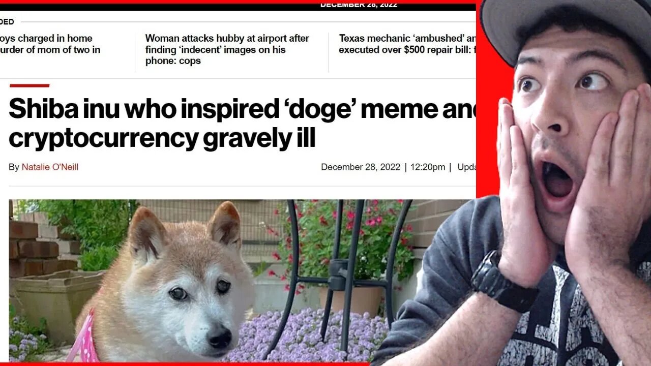 WORLD'S MOST FAMOUS SHIBA INU IS IN TROUBLE, DOGECOIN, DOGE MEME