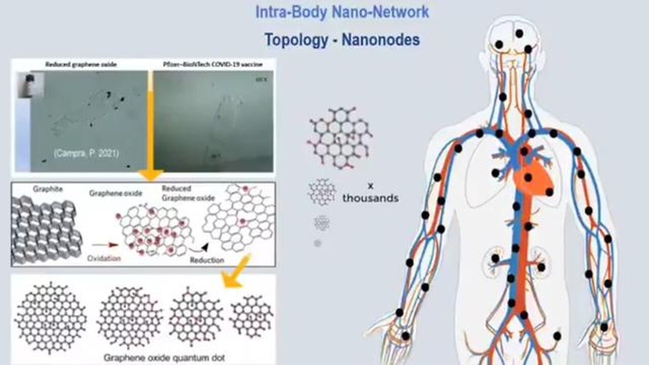 INTRA-BODY NANO-NETWORK EXPLAINED