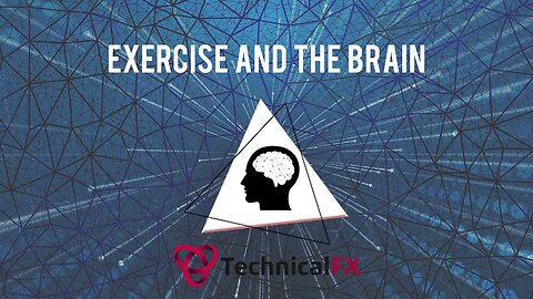 Exercise And Brain