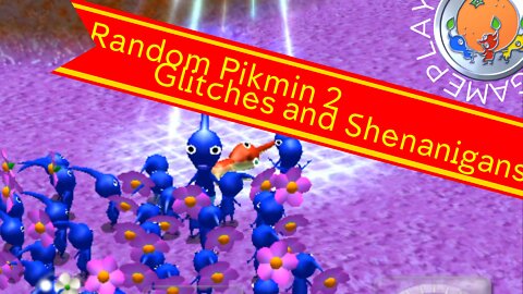 Random Pikmin 2 Glitches and Shenanigans