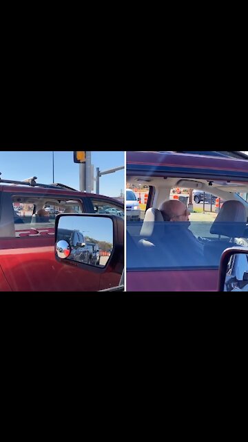 This guy definitely passes the vibe check