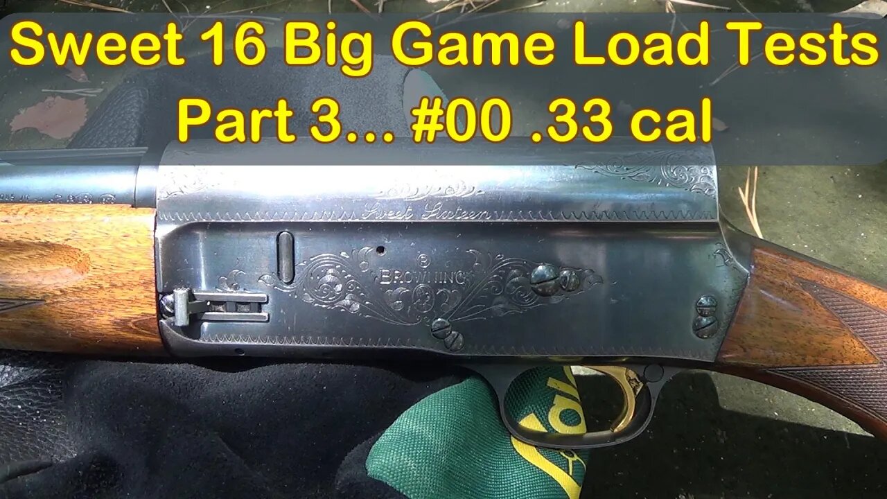 16 Gauge Buckshot Range Tests Part 3! Browning Sweet 16.