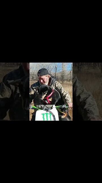 Ridin' with my Dog on a 01 KX250 2 Stroke Dirt Bike - short