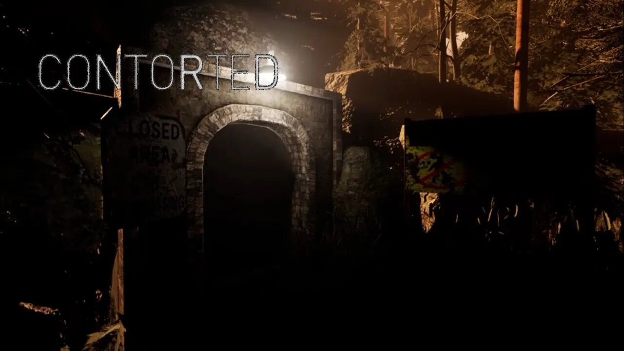 Camera Flash Horror Game | Contorted Demo