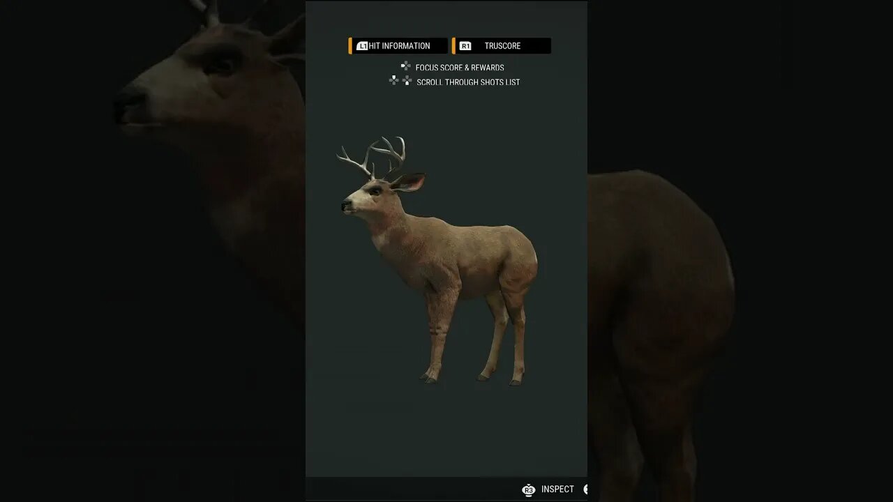 🎯 500 Yard 💔 HEART SHOT on Silver Ridge Peaks - theHunter: Call of the Wild #shorts