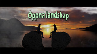 Ronny - Öppna Landskap