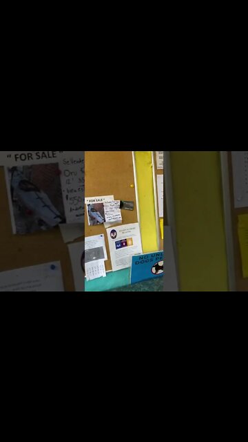 Lake Chapala Society #ajijic