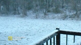 Blustery day sends snowfall into a whirl