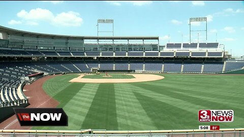 Safety Netting at TD Ameritrade Park