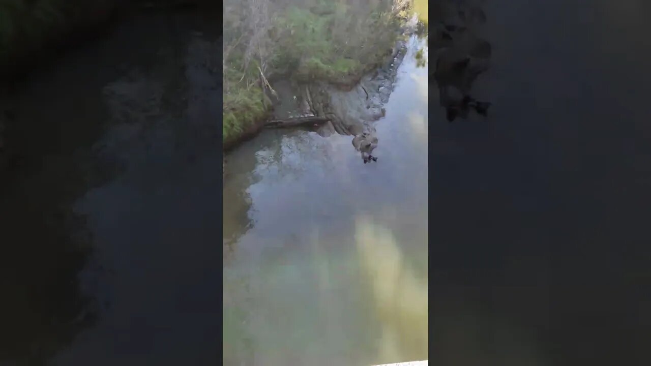Henderson stream.