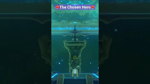 The Legend of Zelda: Breath of the Wild: Chosen Hero