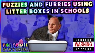 New Hampshire Senate Candidate Don Bolduc Says Furries And Fuzzies Are Using Litter Boxes In Schools