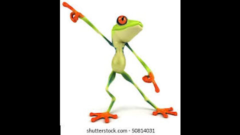 Amazing performance by a frog