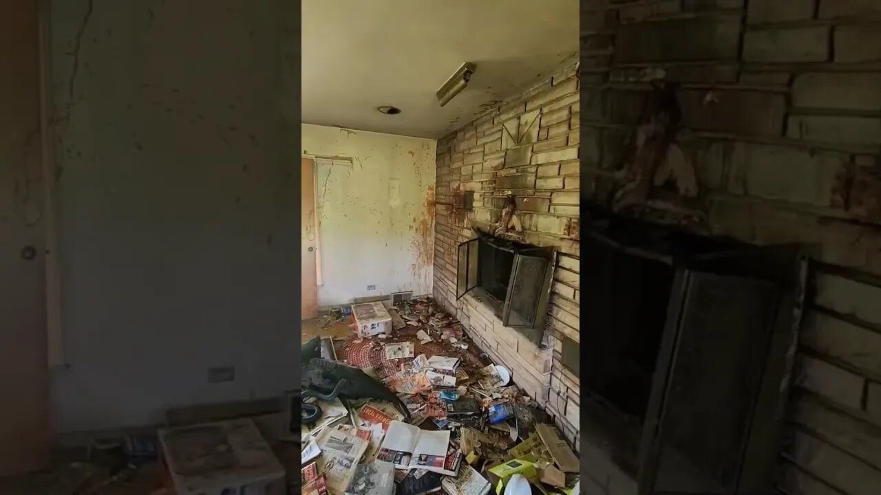 I went back to this ghost town in illinois, things were changed...