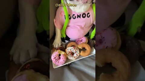 Cutest Puppy 🐶 😍 #cutepuppy #dog