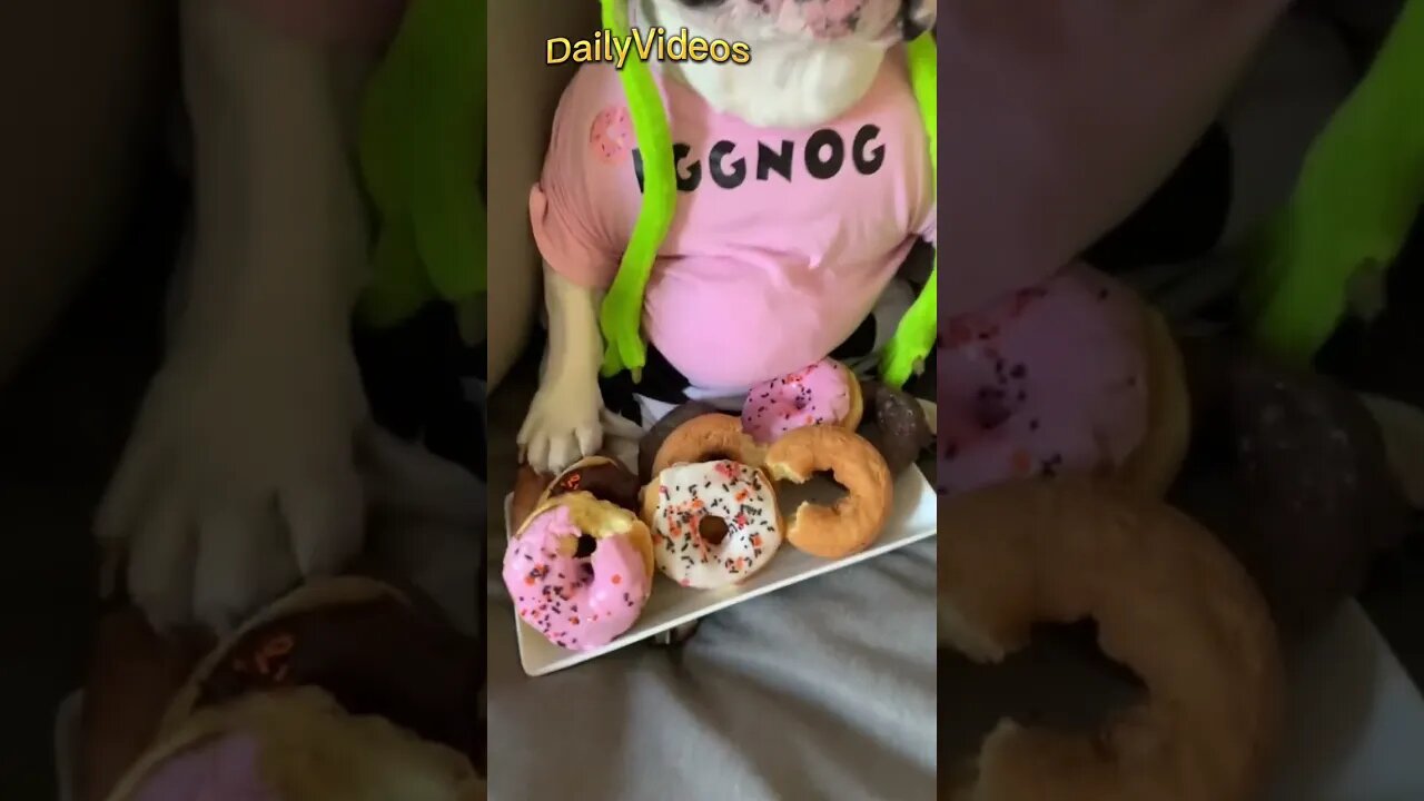 Cutest Puppy 🐶 😍 #cutepuppy #dog