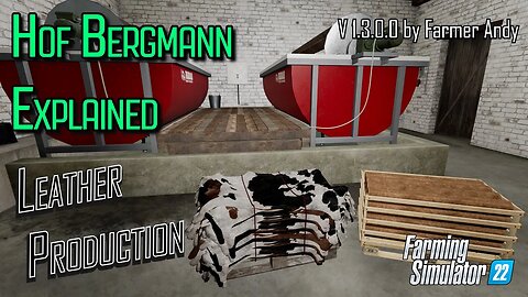 ❓FS22 Hof Bergmann Explained ❓ Tannery Guide