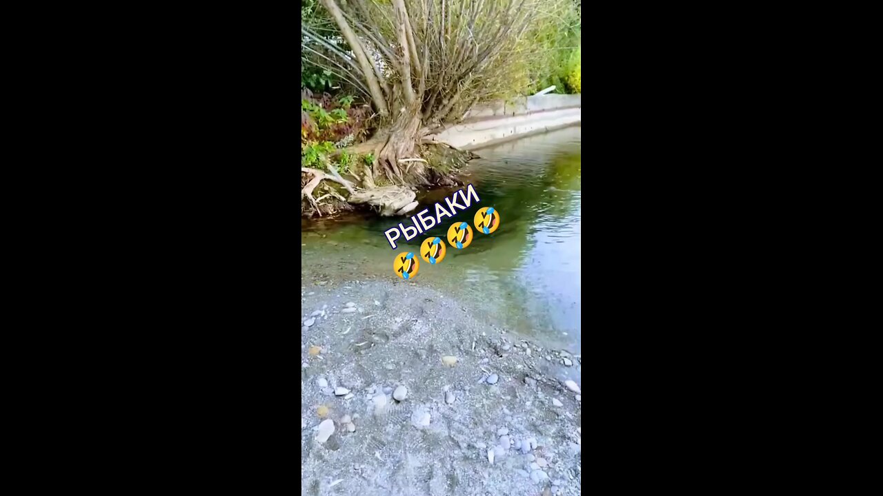 funny fishing fish know how to hide