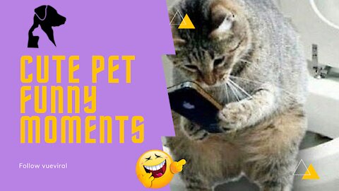 Hilarious Cute Pet