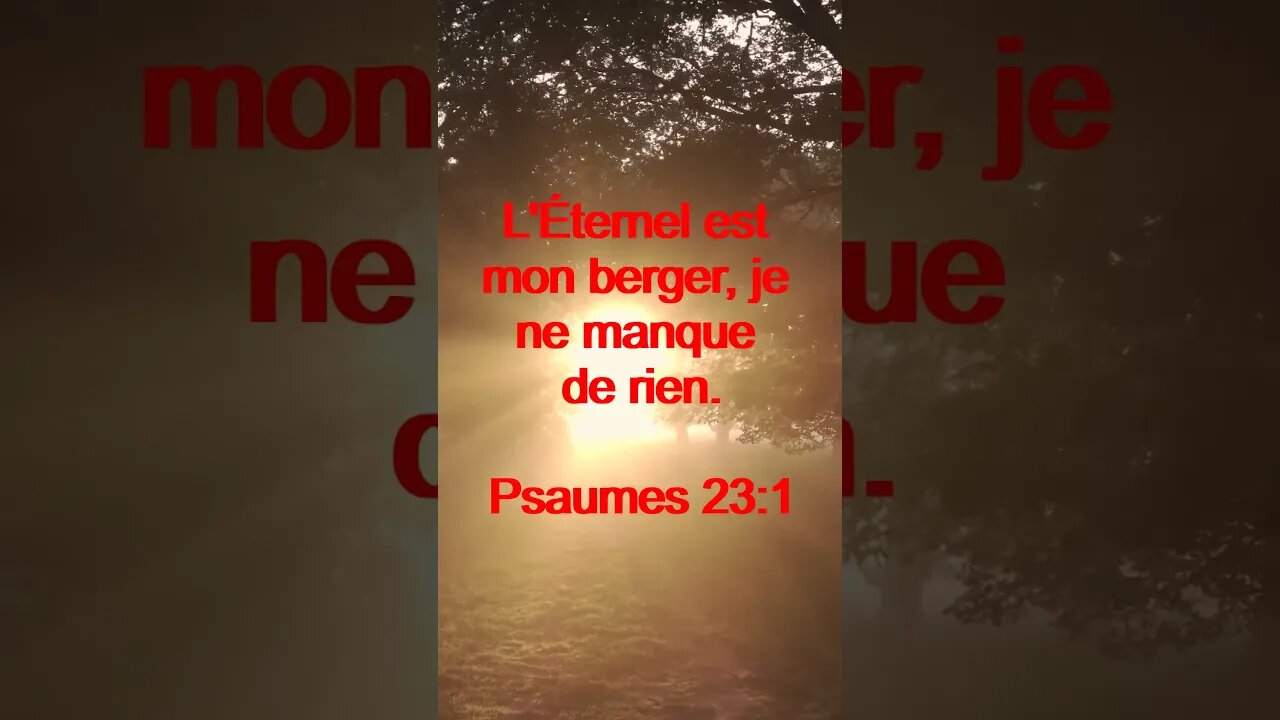 Verset Du Jour | Lecture Inspirante Pour Commencer La Journée. | 91
