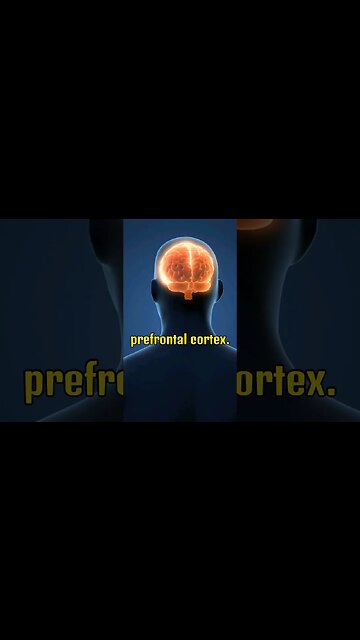 Boost your brainpower with prefrontal cortex exercise #shorts
