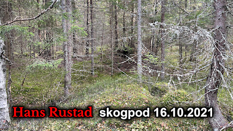 Skogpod 16. oktober: Det er menneskene, ikke kristendommen