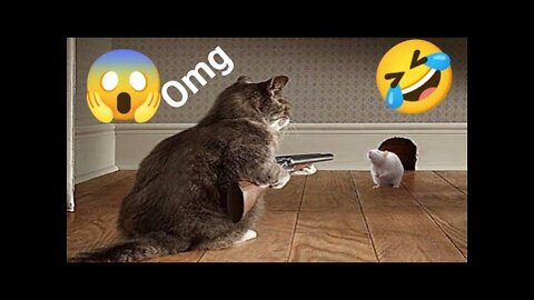 Funny Animals Videos2022 🤣😻-Funniest Cats And Dogs Videos