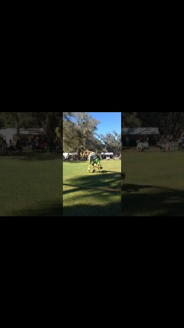 Native American Festival February 2017